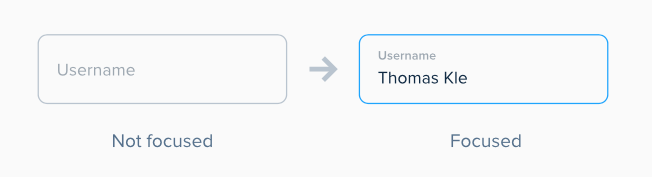 t20.png